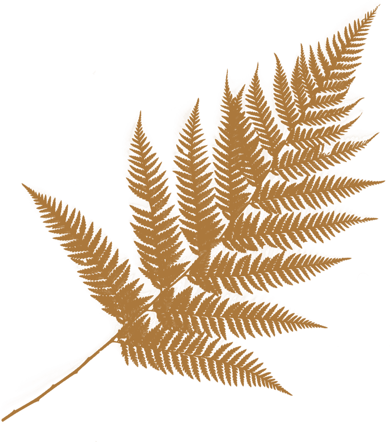 farn_1