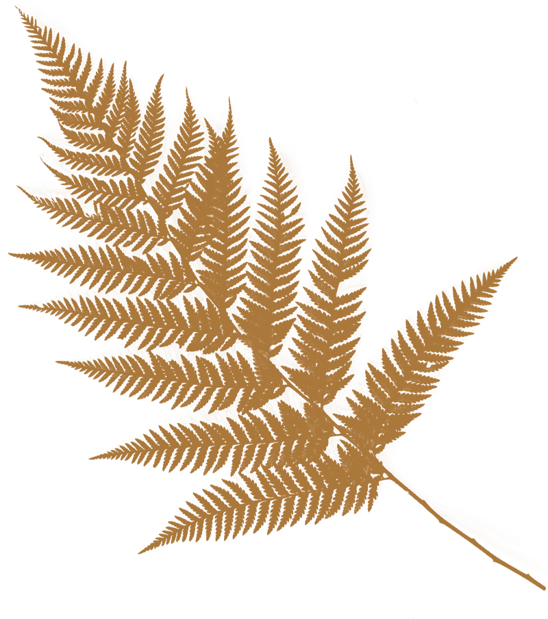 farn_1_sv