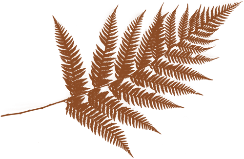 farn_2